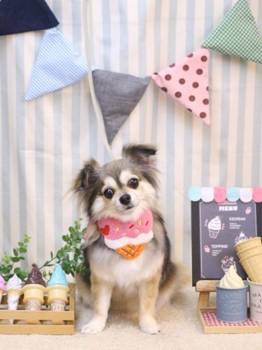 20250506あもちゃん